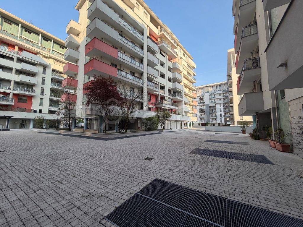 immagine annuncio 12 di 14