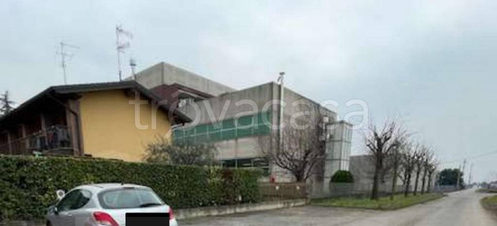 immagine annuncio 10 di 12