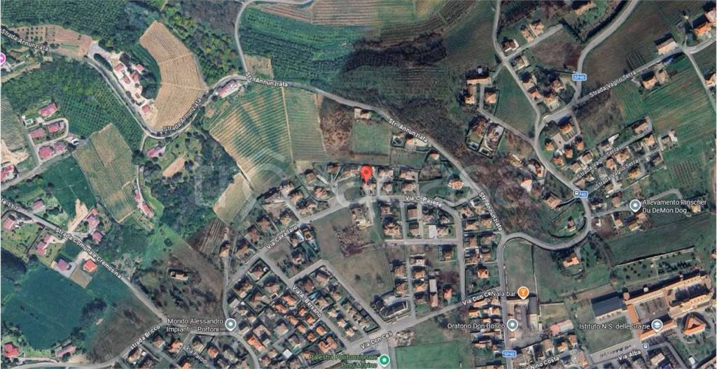 immagine annuncio 2 di 11