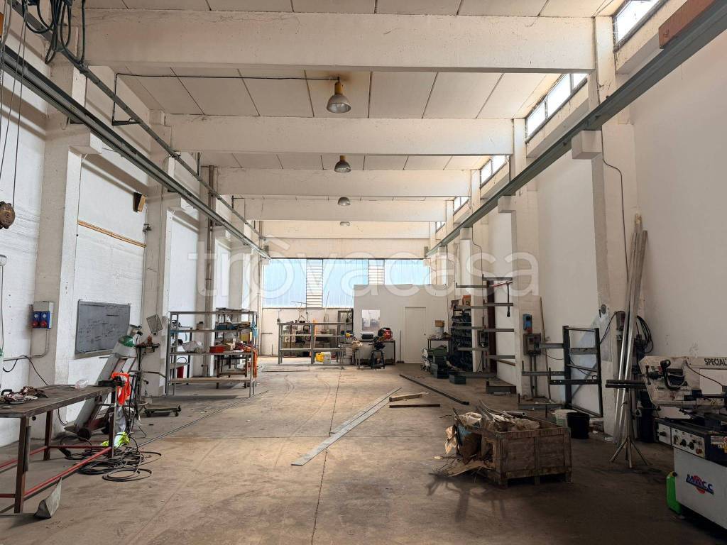 immagine annuncio 3 di 8