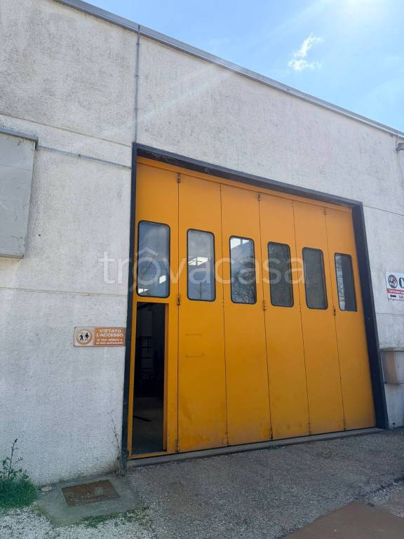 immagine annuncio 6 di 8