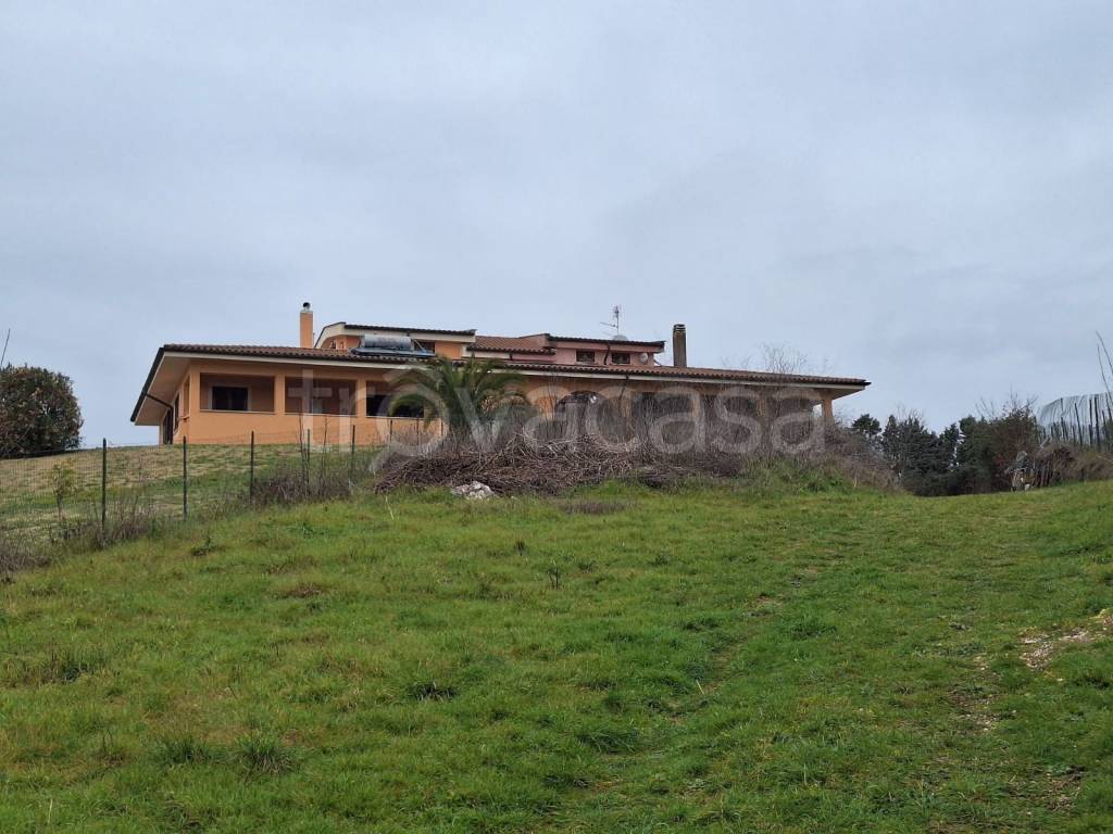 immagine annuncio 2 di 11