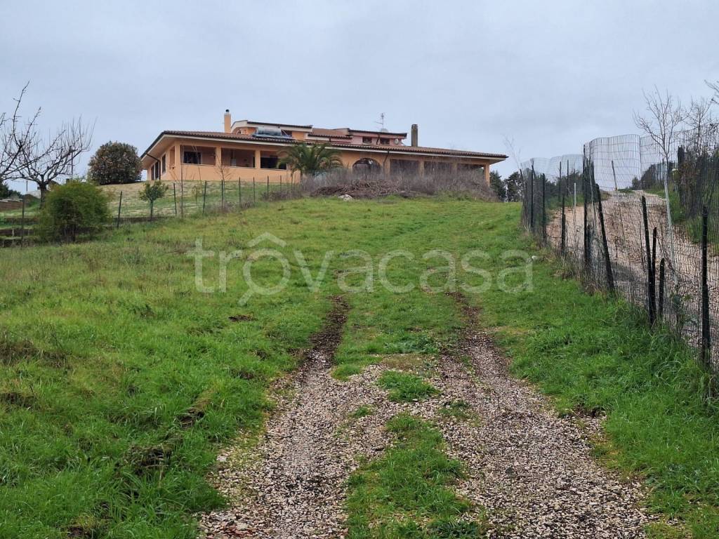 immagine annuncio 8 di 11