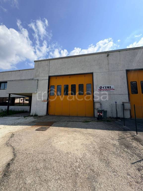 immagine annuncio 3 di 6