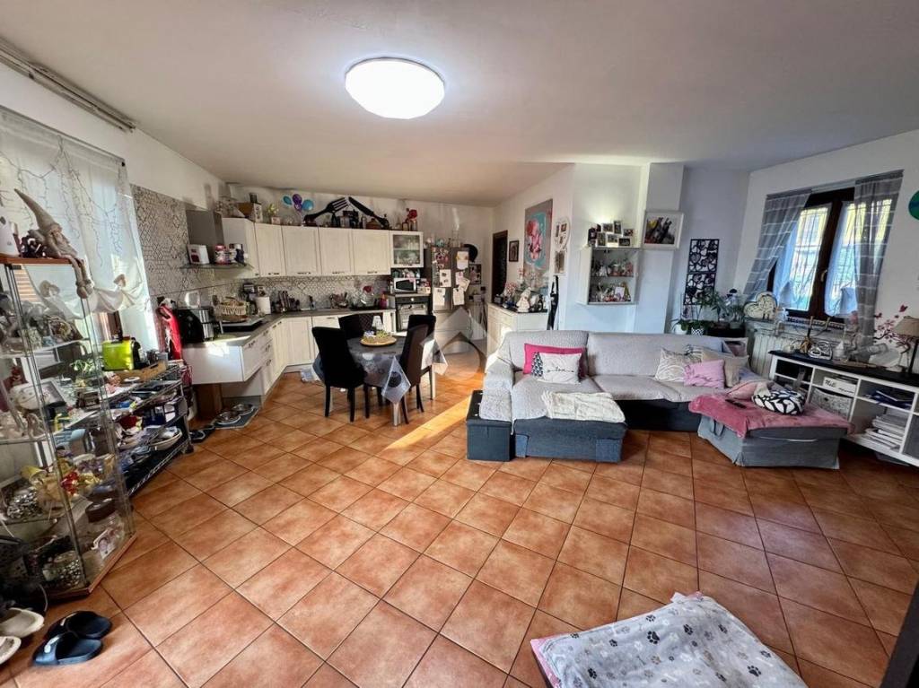 immagine annuncio 6 di 15