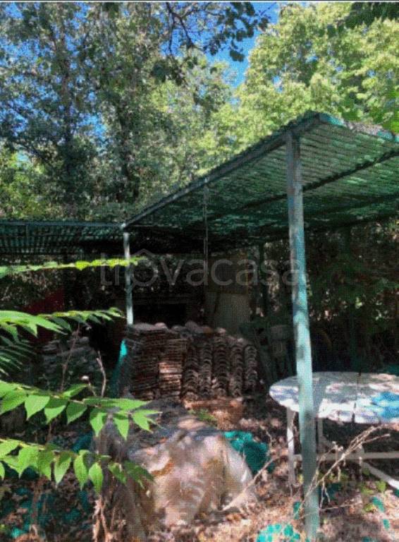 immagine annuncio 11 di 13