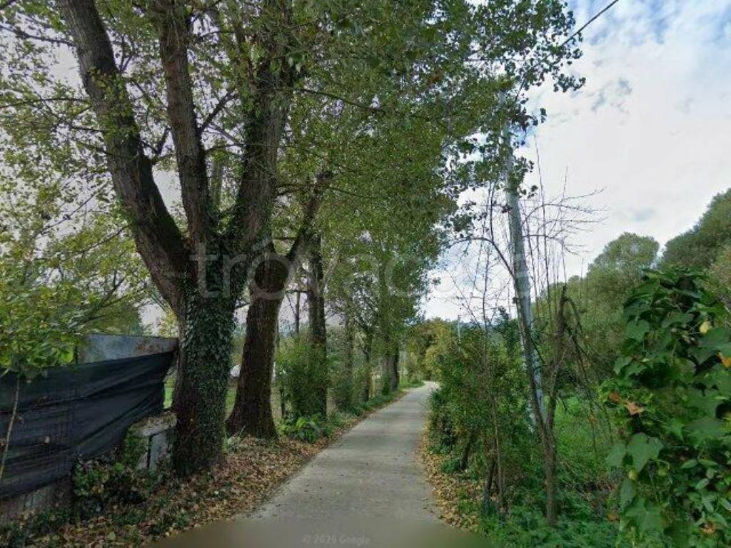 immagine annuncio 3 di 4