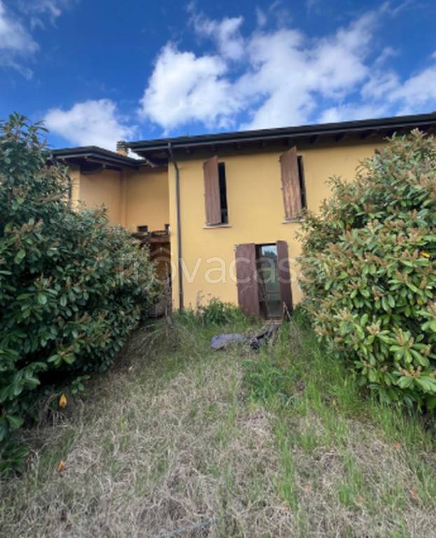 immagine annuncio 7 di 11