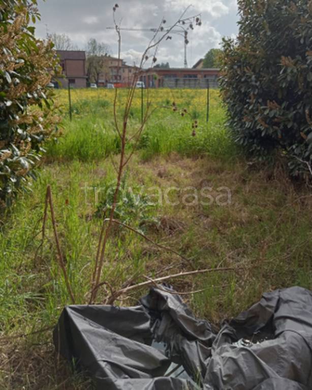 immagine annuncio 8 di 11