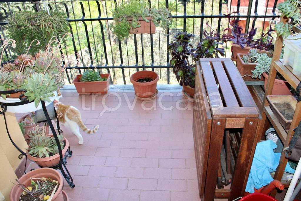 immagine annuncio 4 di 15