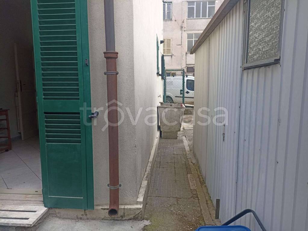 immagine annuncio 7 di 14