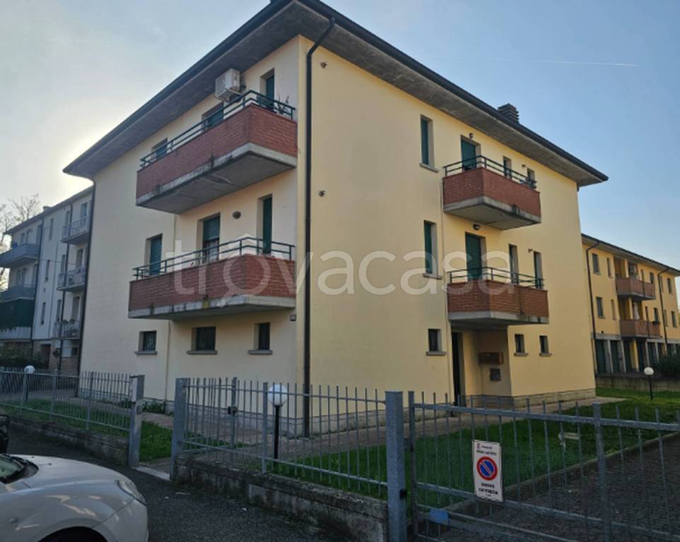 immagine annuncio 3 di 11