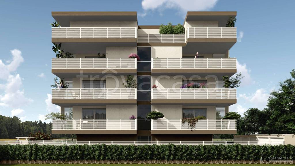 immagine annuncio 2 di 12