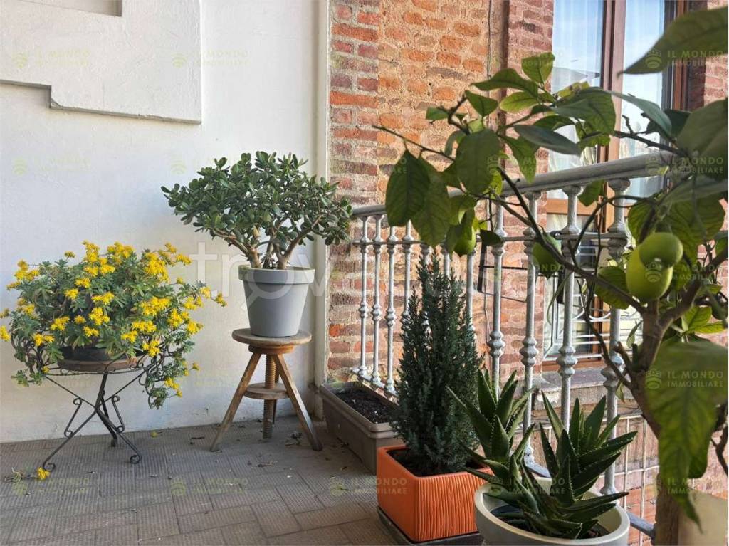 immagine annuncio 7 di 15