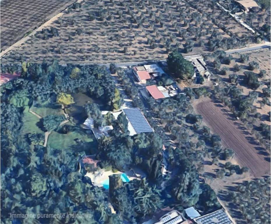 immagine annuncio 4 di 13