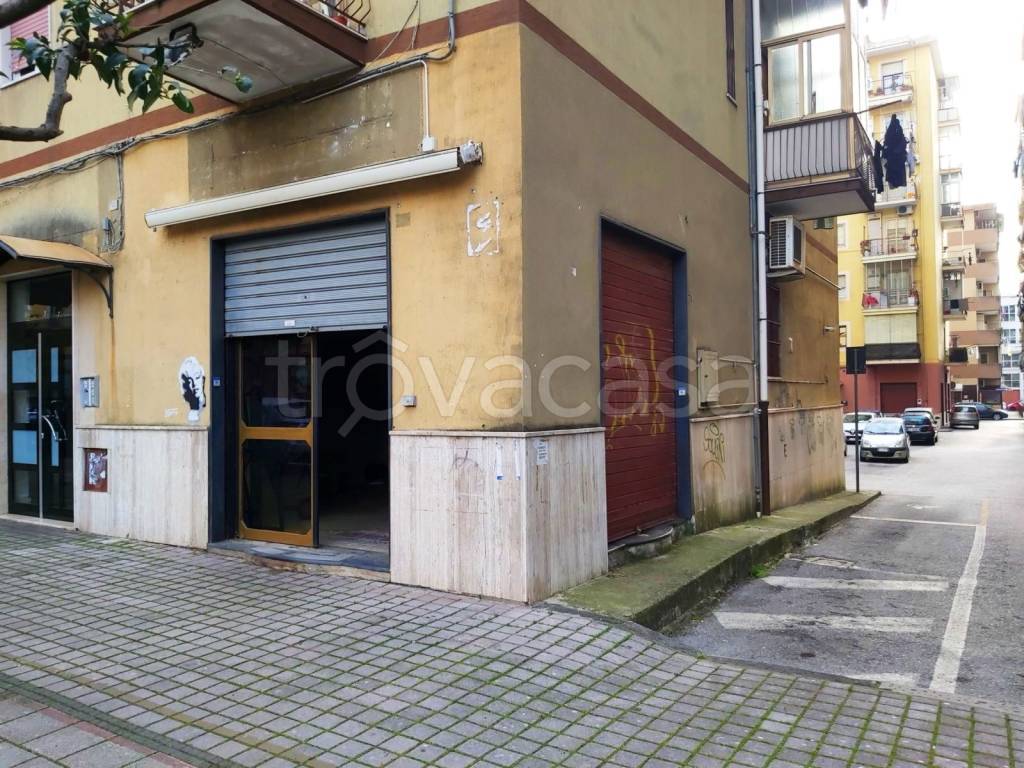 immagine annuncio 6 di 12