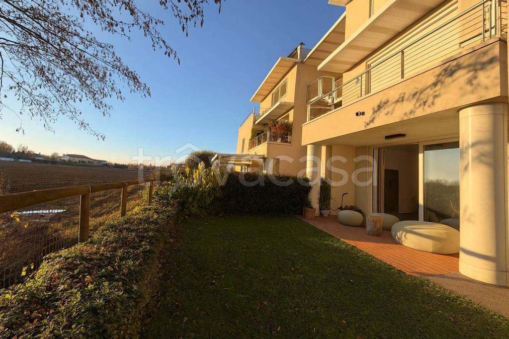 immagine annuncio 3 di 12