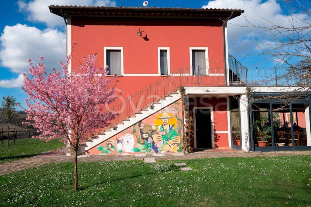 immagine annuncio 4 di 8