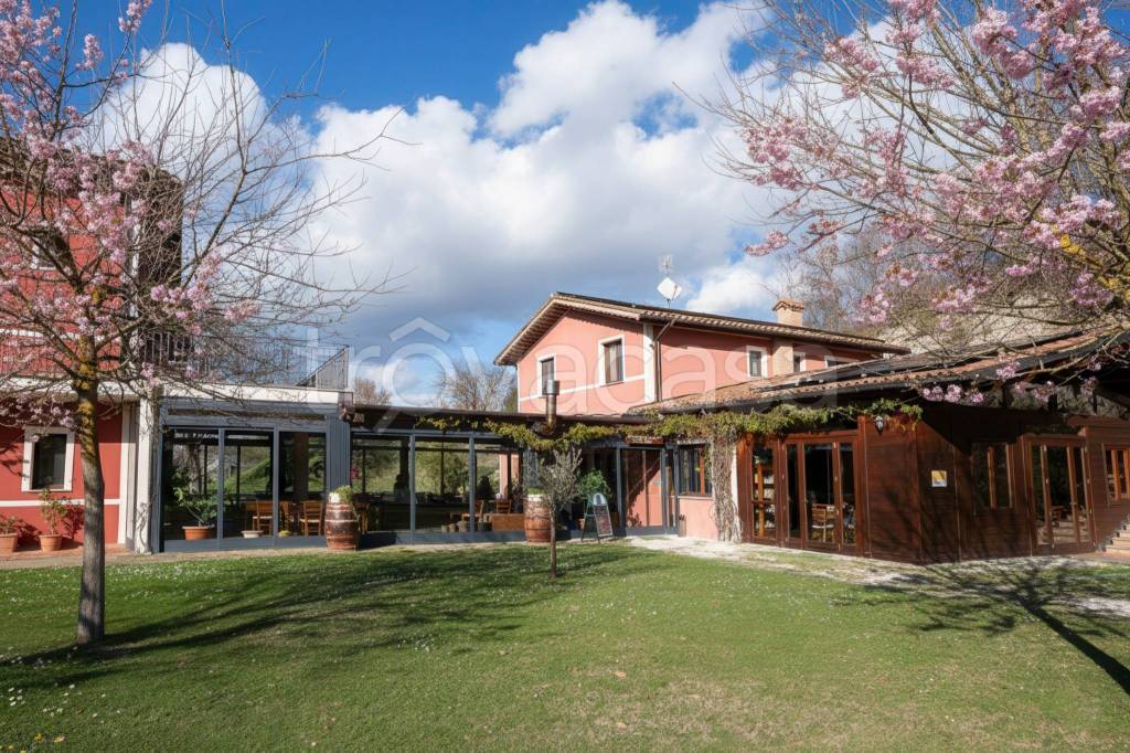 immagine annuncio 1 di 8