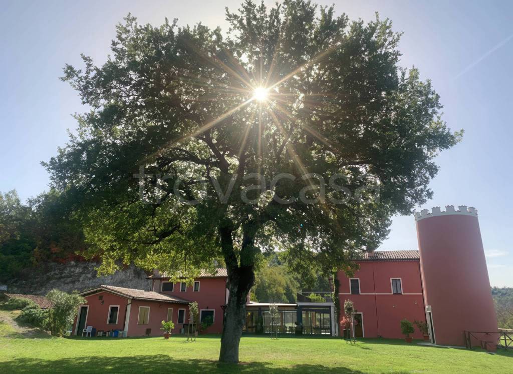 immagine annuncio 5 di 8