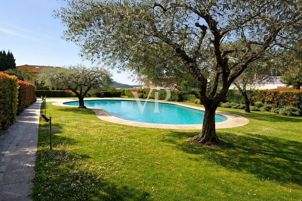 immagine annuncio 10 di 11