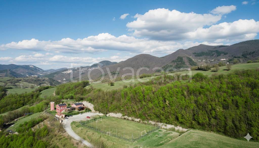 immagine annuncio 7 di 8