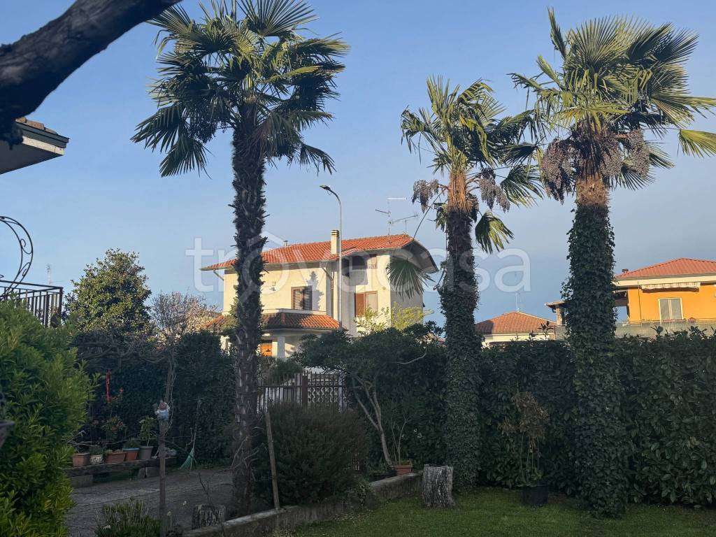 immagine annuncio 4 di 15