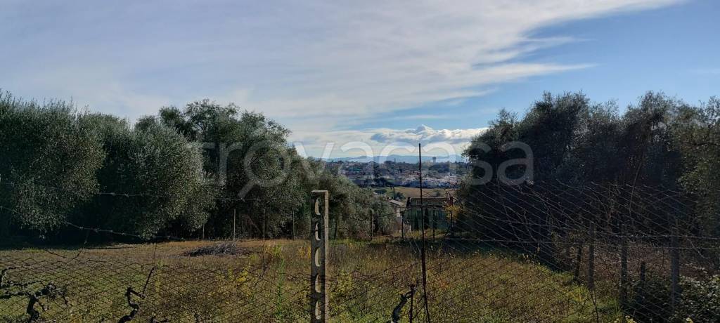 immagine annuncio 1 di 3