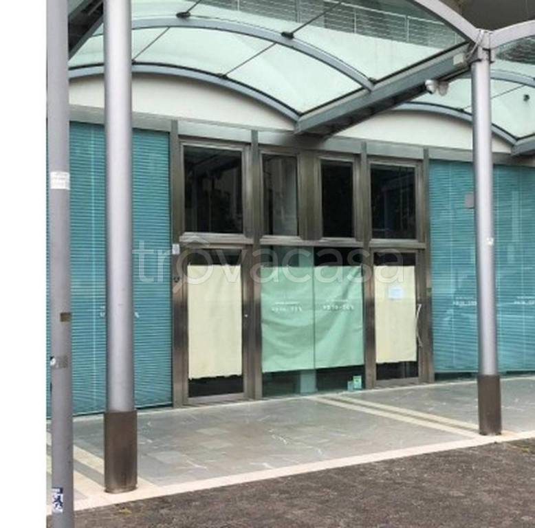 immagine annuncio 5 di 11