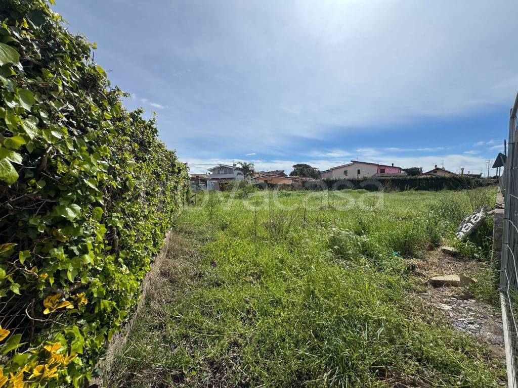 immagine annuncio 10 di 14