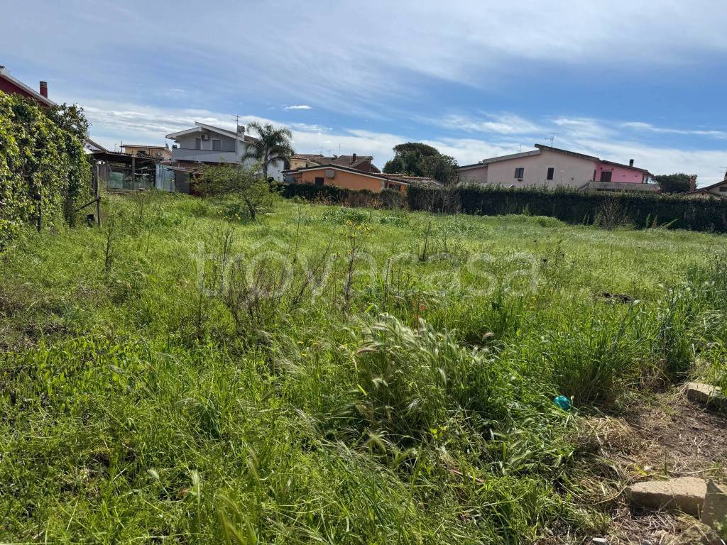 immagine annuncio 11 di 14