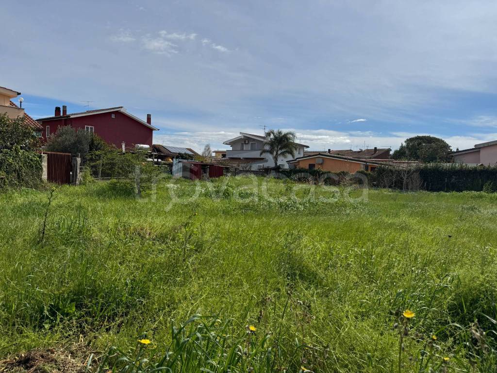 immagine annuncio 12 di 14