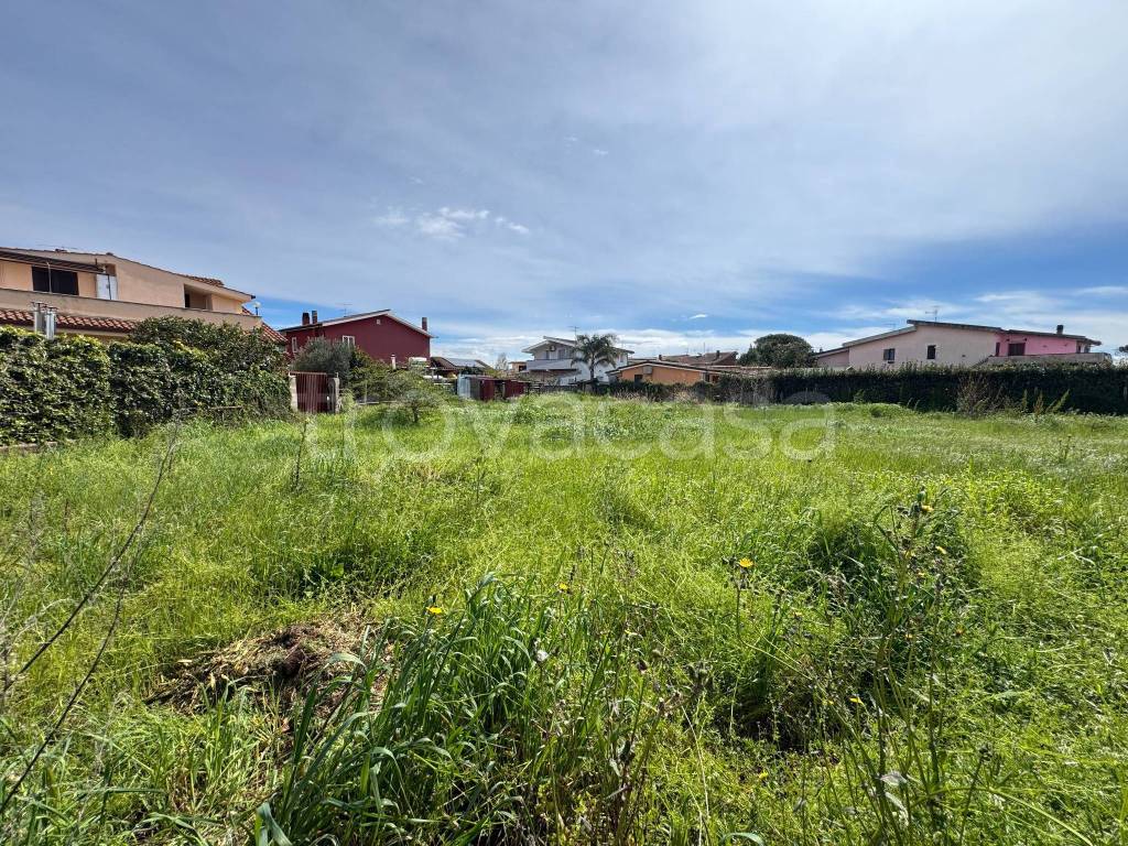 immagine annuncio 13 di 14