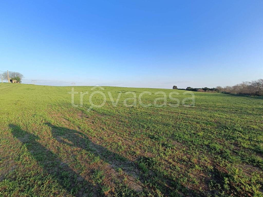 immagine annuncio 4 di 6