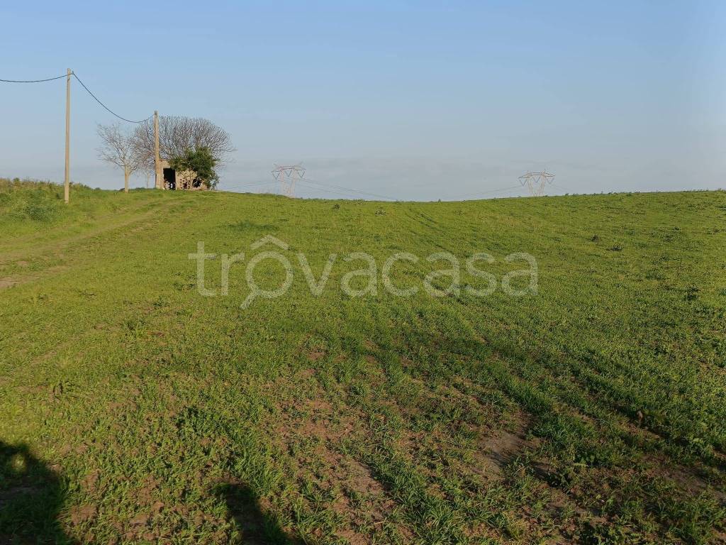 immagine annuncio 5 di 6