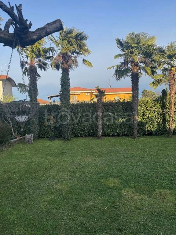 immagine annuncio 7 di 15