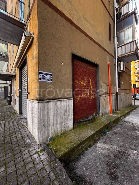 immagine annuncio 11 di 12