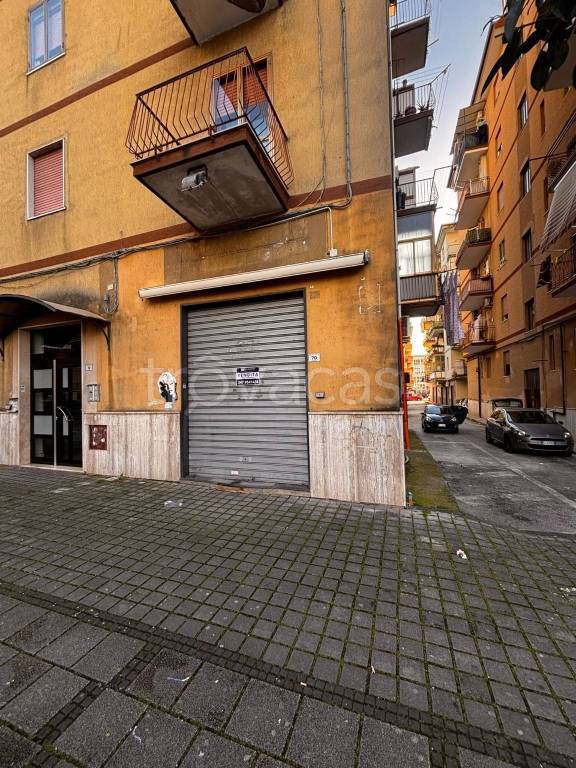 immagine annuncio 3 di 12