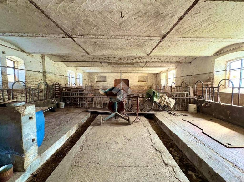 immagine annuncio 7 di 8