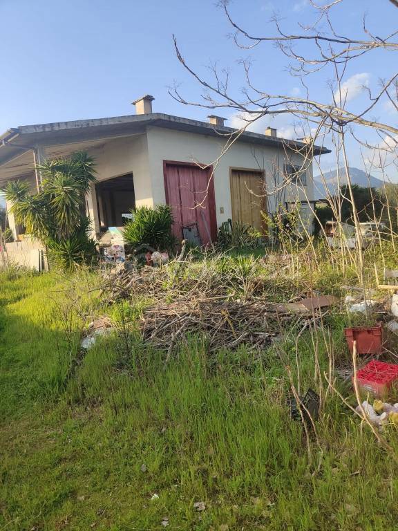 immagine annuncio 1 di 3