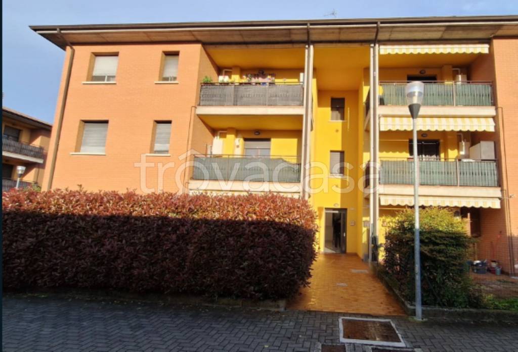 immagine annuncio 1 di 9