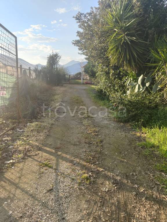 immagine annuncio 2 di 3