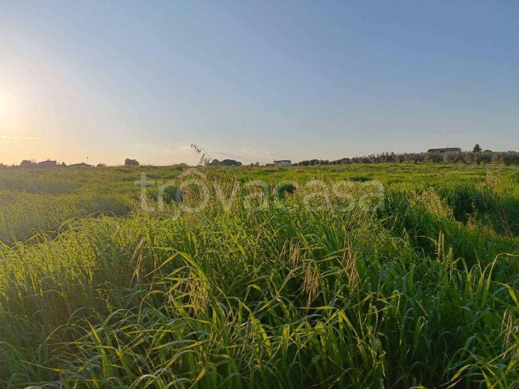 immagine annuncio 2 di 6