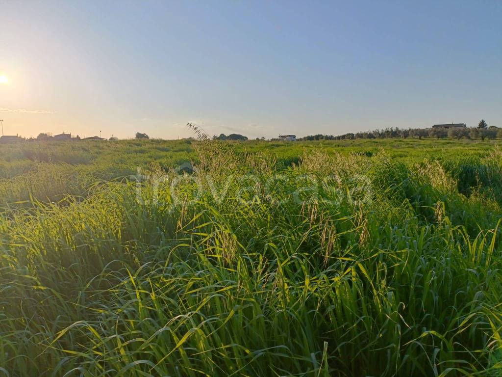 immagine annuncio 4 di 6