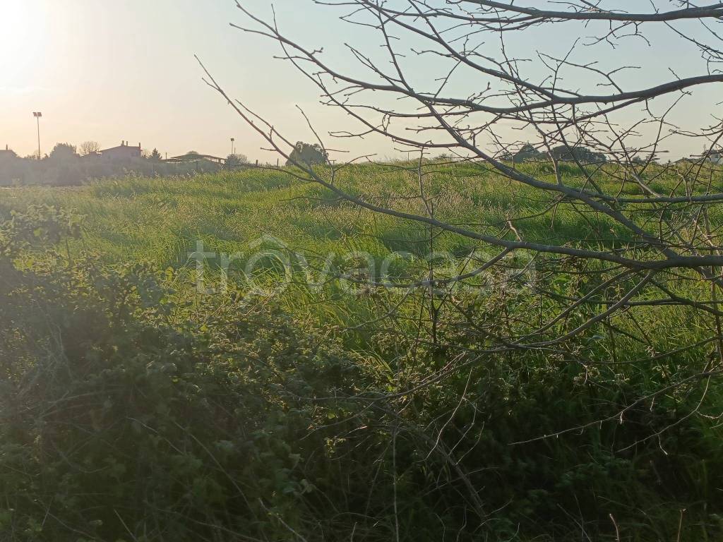 immagine annuncio 5 di 6