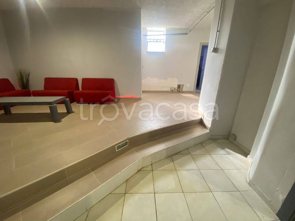 immagine annuncio 4 di 14