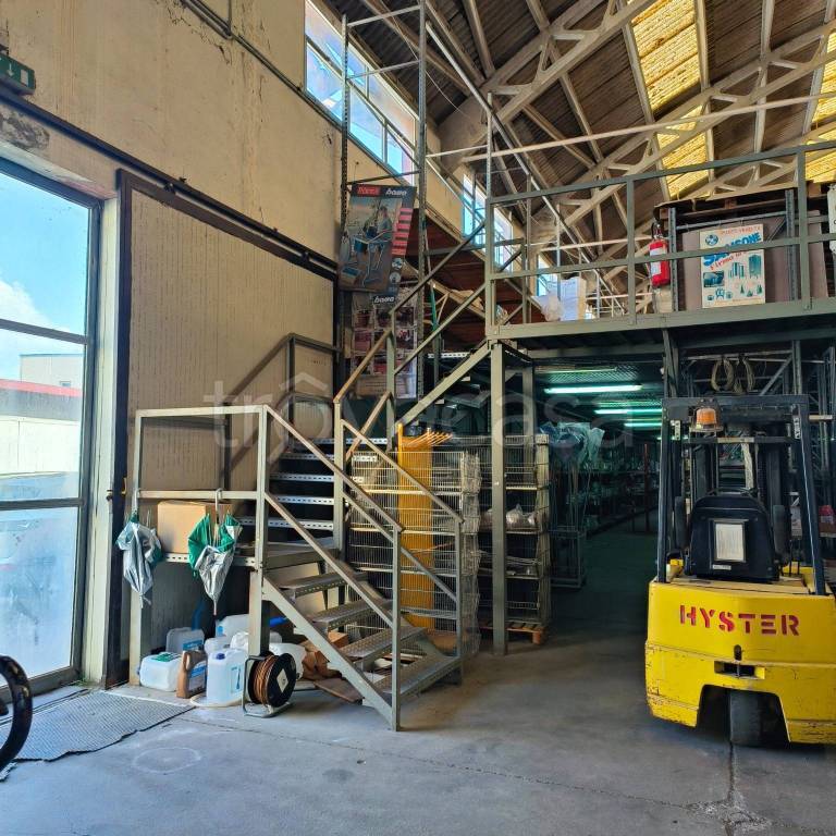 immagine annuncio 9 di 15