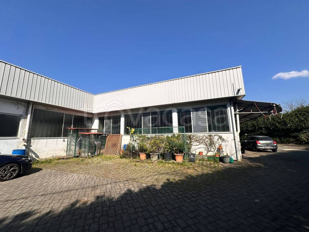 immagine annuncio 2 di 15