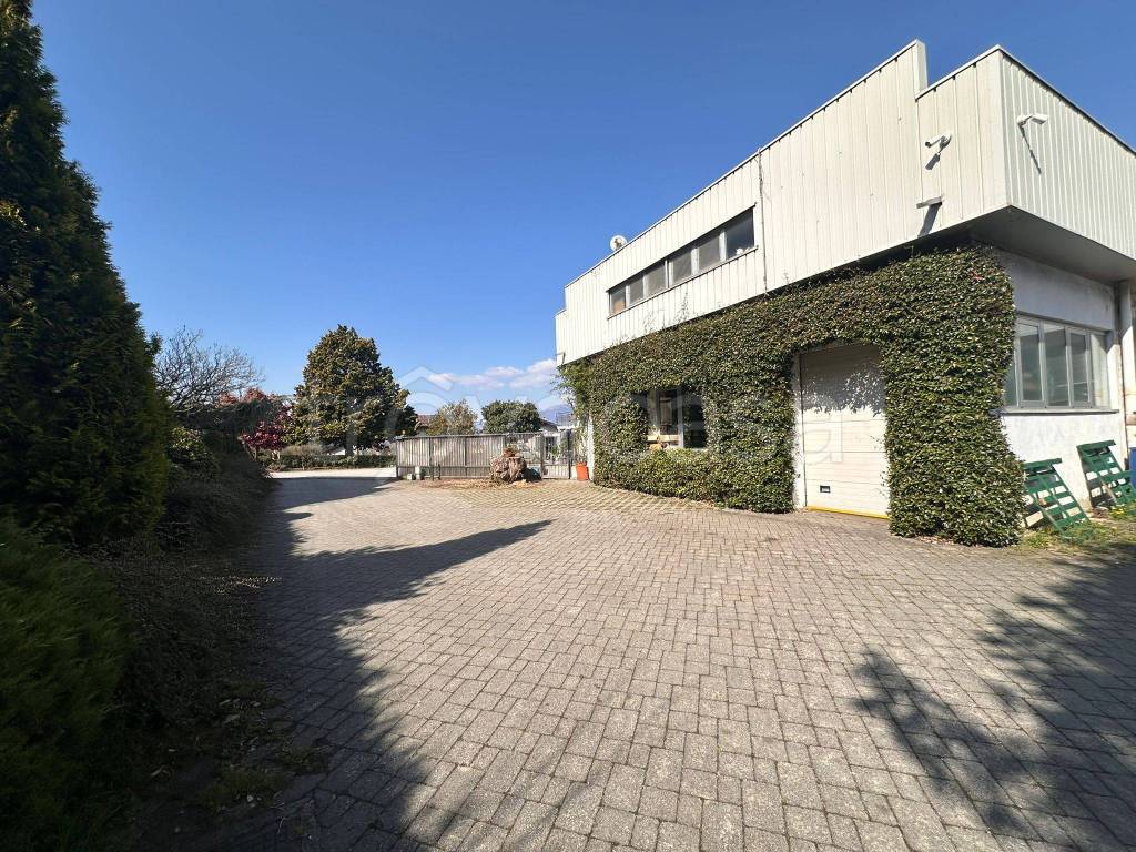 immagine annuncio 4 di 15