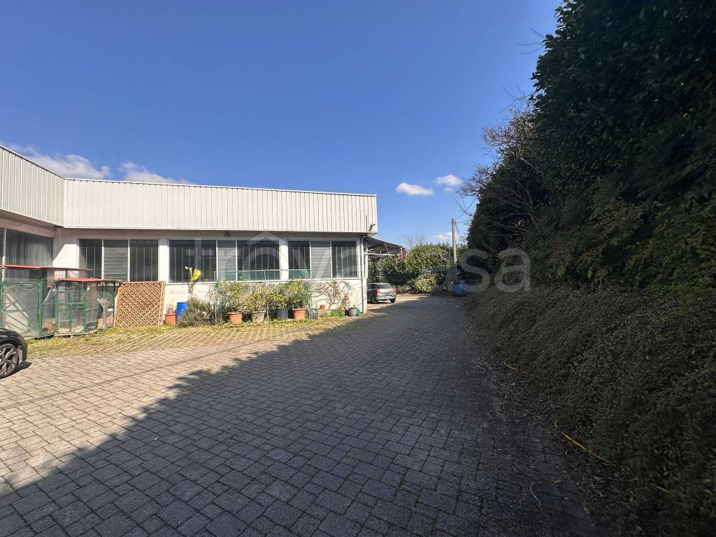 immagine annuncio 6 di 15